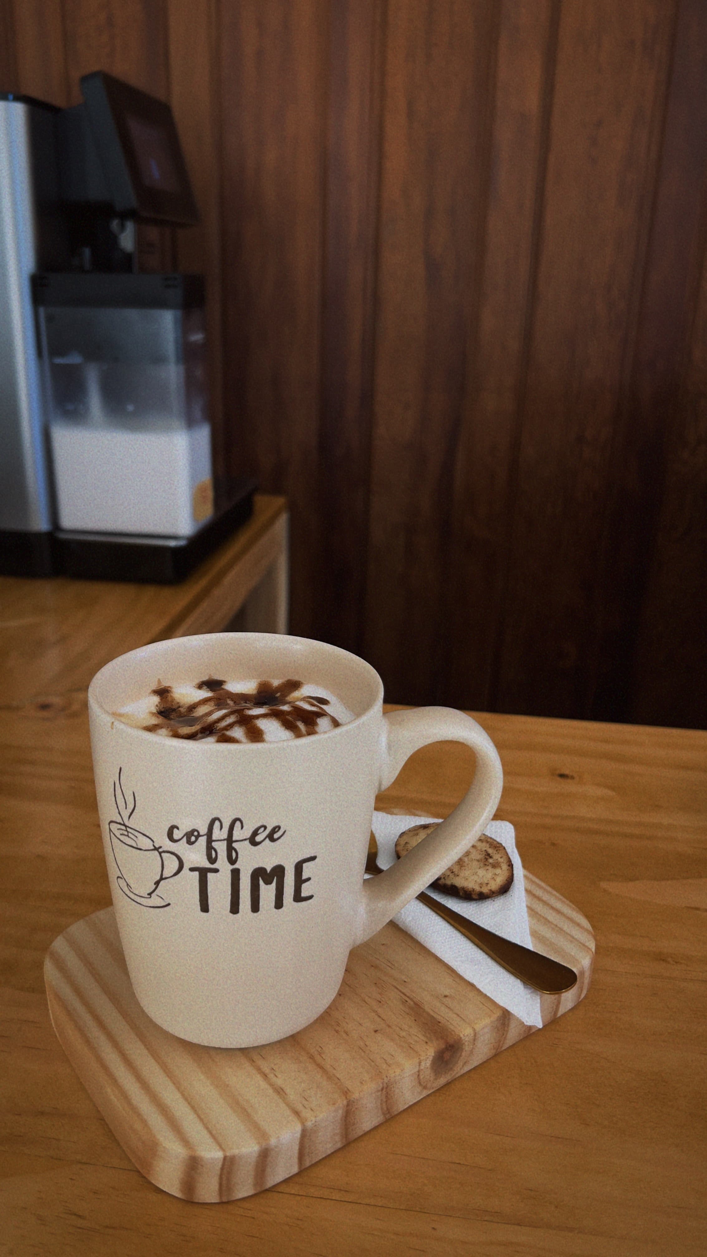 Galería de fotos 11